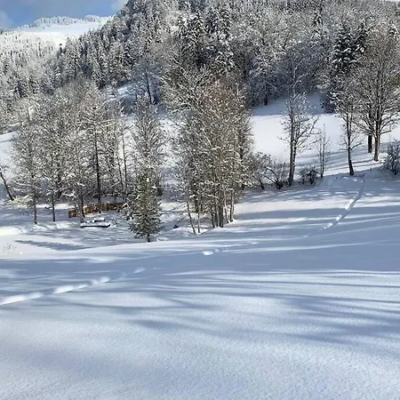 Zuhaus Schernfeichten * Kitzbuhel