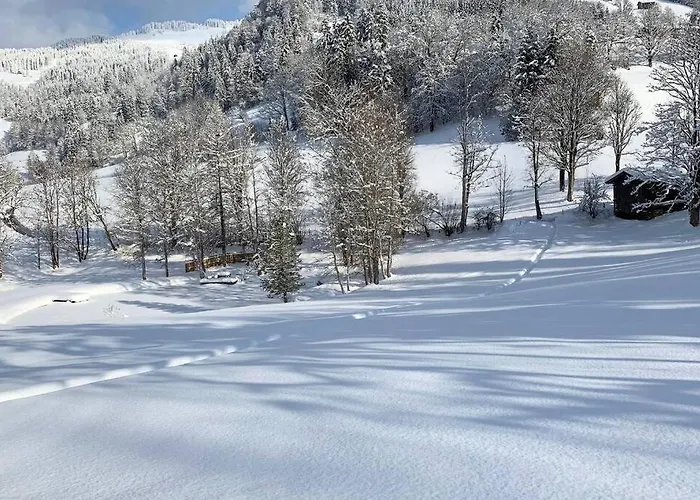 Zuhaus Schernfeichten * Kitzbühel