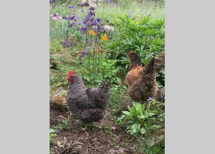 Casa vacanze Zuhaus Schernfeichten Kitzbühel